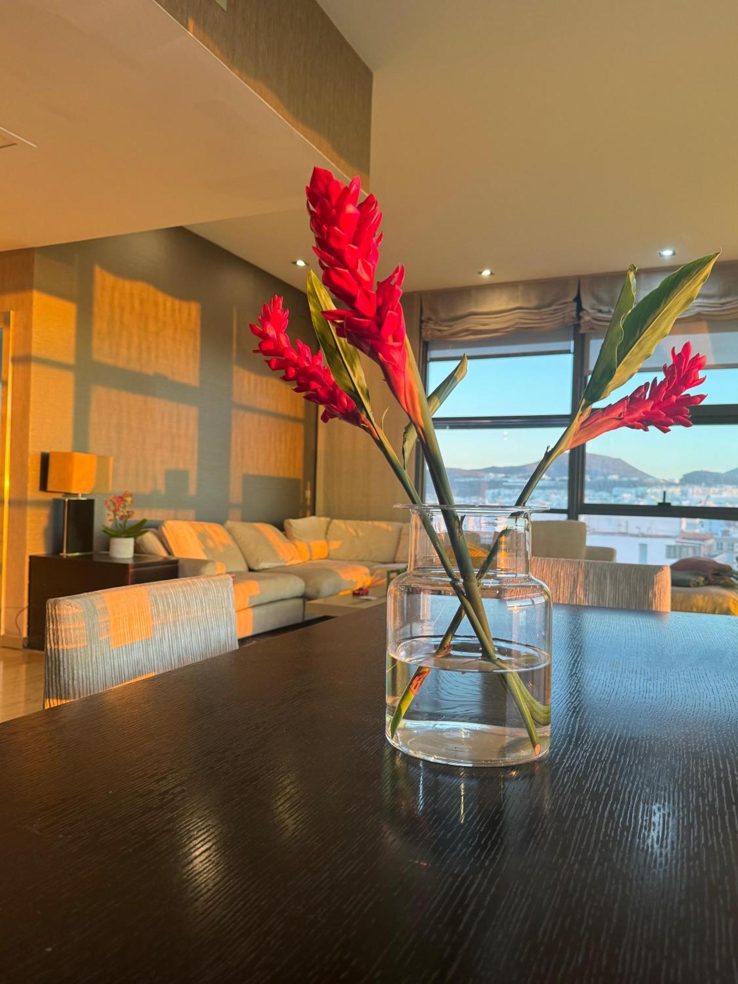 Appartement Luxury Family Beachfront *